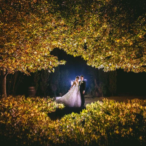 wedding couple posing at night time