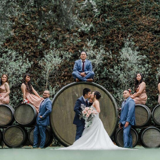wedding couple with brides mates and groomsmen