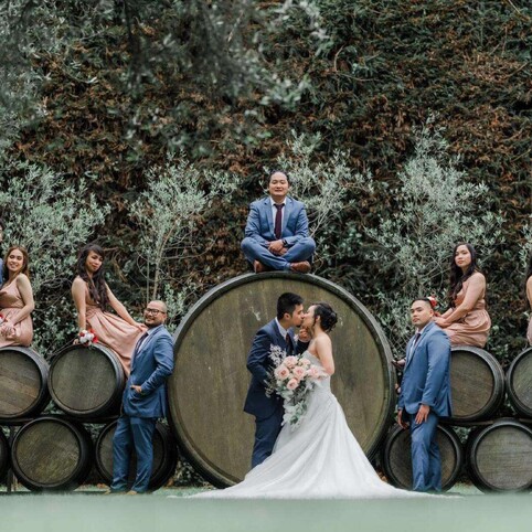wedding couple with brides mates and groomsmen
