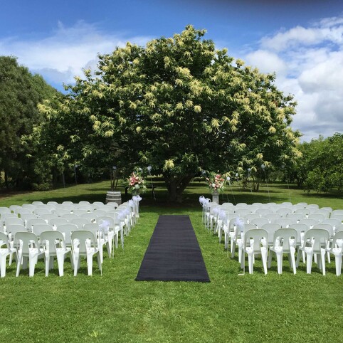 under the tree ceremony set up