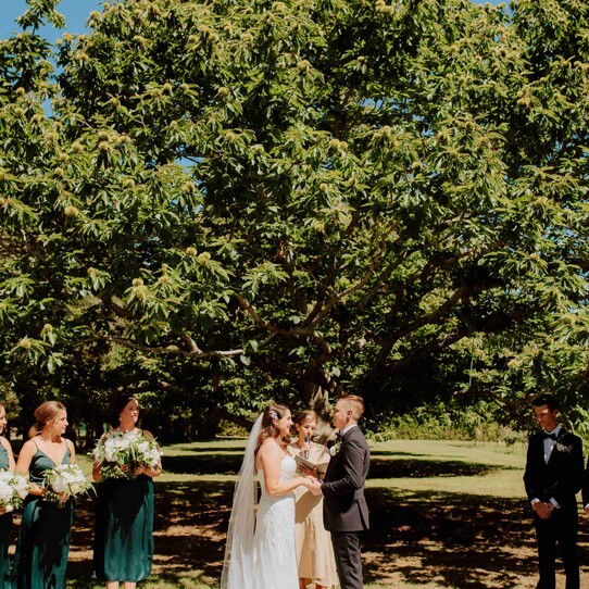 Chestnut Tree Ceremony