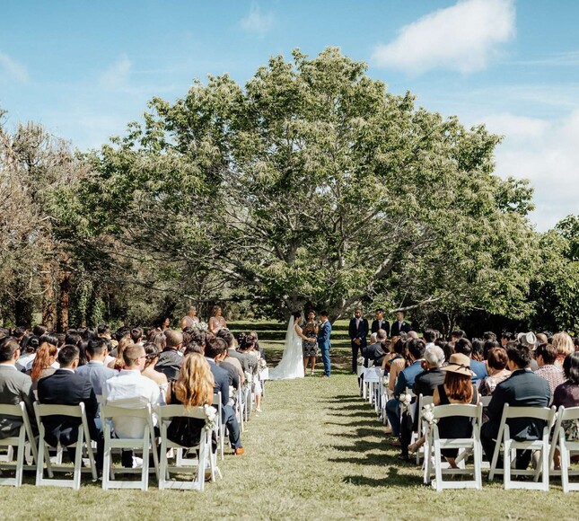 Markovina Vineyard Estate Chestnut Tree Ceremony