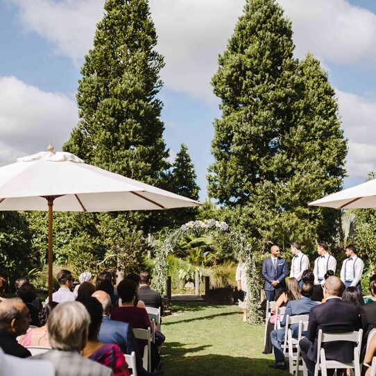 Two Kauri Trees Ceremony