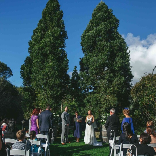 Two Kauri Trees Ceremony