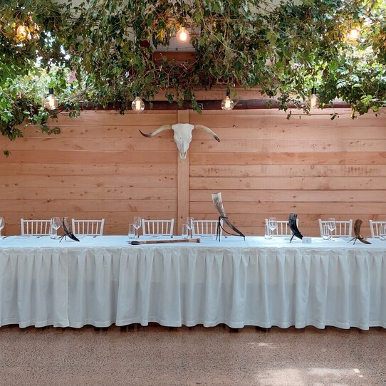 Custom Backdrop for Wedding Reception Under the Vines