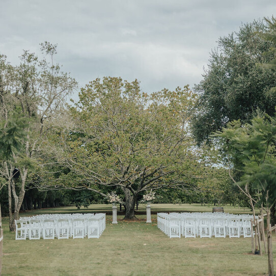 Chestnut Tree Ceremony