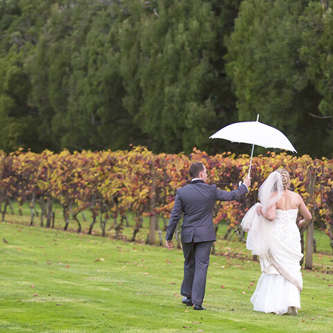 wedding couple at vineyard