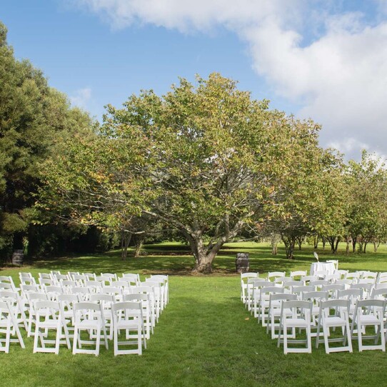 Chestnut Tree Ceremony