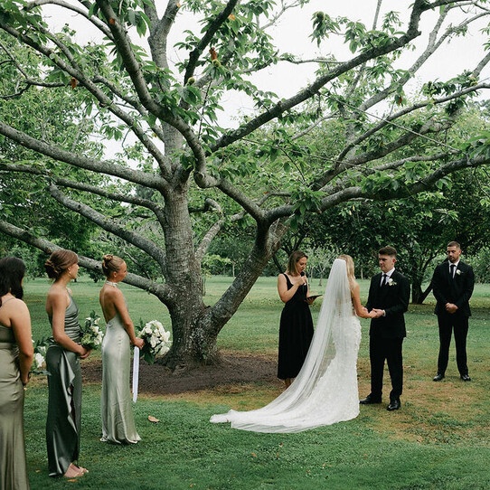 Chestnut Tree Ceremony