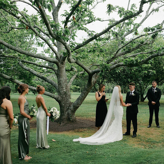 Chestnut Tree Ceremony