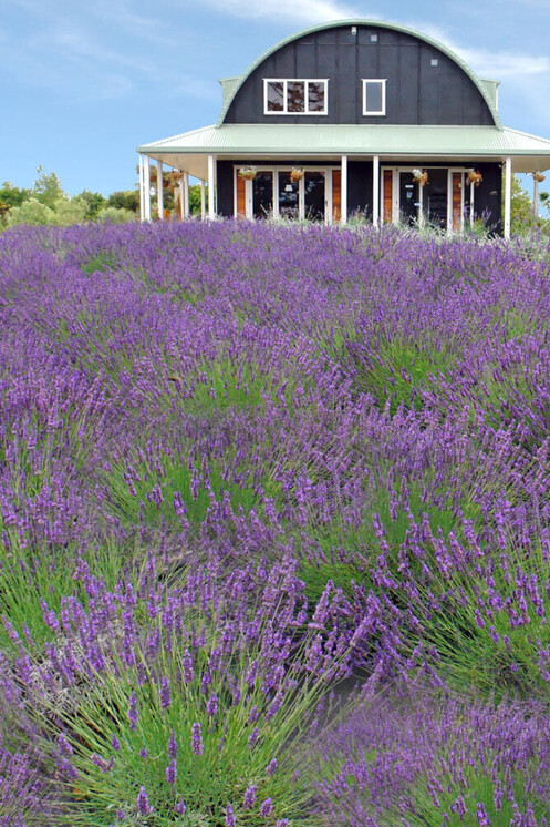 Markovina accommodation building 