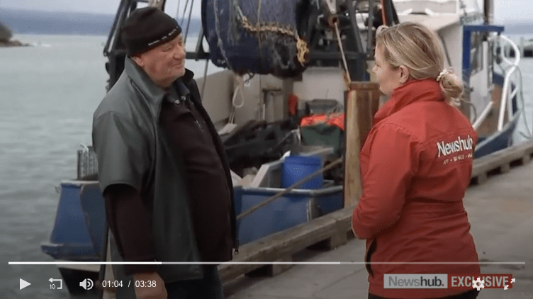 Cyclone Gabrielle: Hawke's Bay, Gisborne fishing industry faces