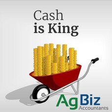 Differences Between Cash and Profit