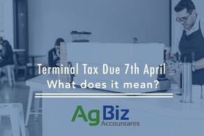 Terminal Tax Payment due on 7th April - what does it mean?