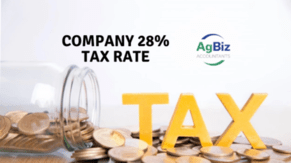 Companies 28% Tax Rates