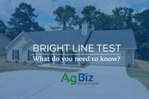 Bright Line Test &ndash; What do you need to know?