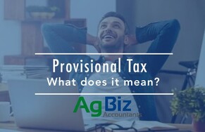 Provisional Tax - What does it mean?