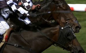 Sinarahma- Group 3 Win