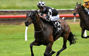 Trentham Abandonment