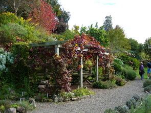 Herb Garden - A comprehensive herb garden has been established by local herb enthusiasts.