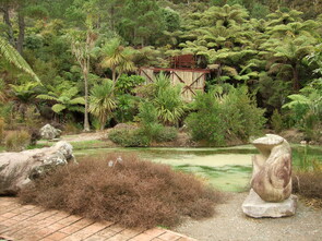 New Zealand Natives - Plantings are around the entrance/car park area and the Rotary Pond. An educational Native Plant Aboretum on the western track was begun in 2000.