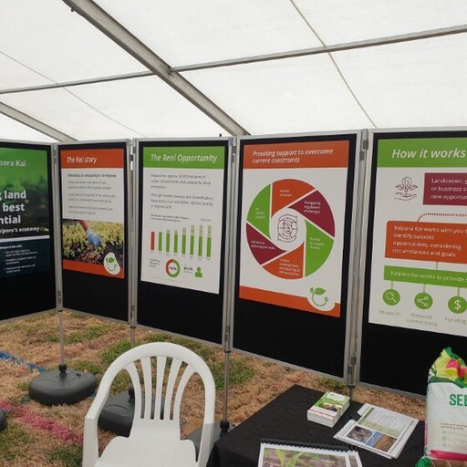 Event display design