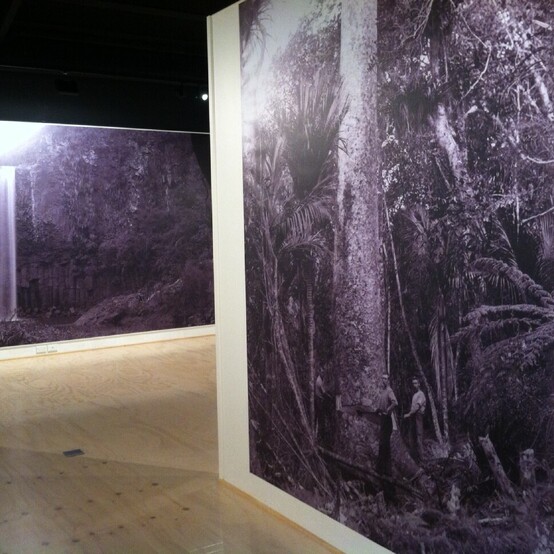 Large format print enlargements