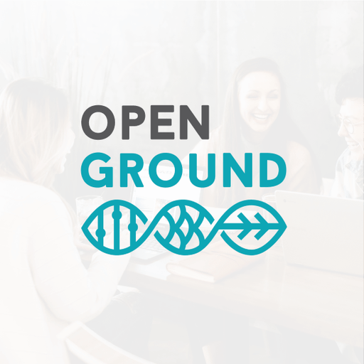 Consultant Logo design