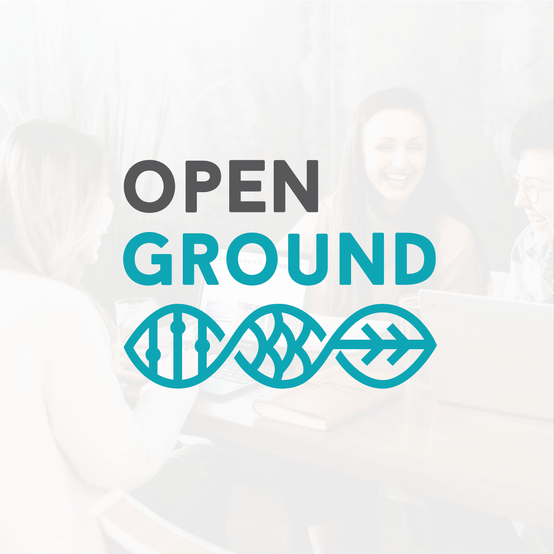 Consultant Logo design