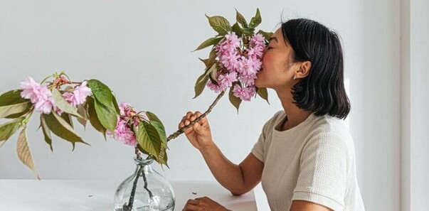 Blessing your Home and Office with the Usui Reiki Symbols