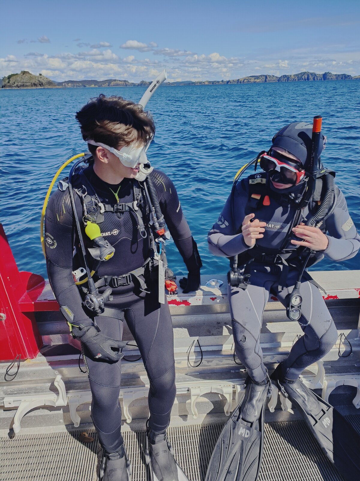 Dive Master Course NZ Certificate Dive Zone Bay of Islands
