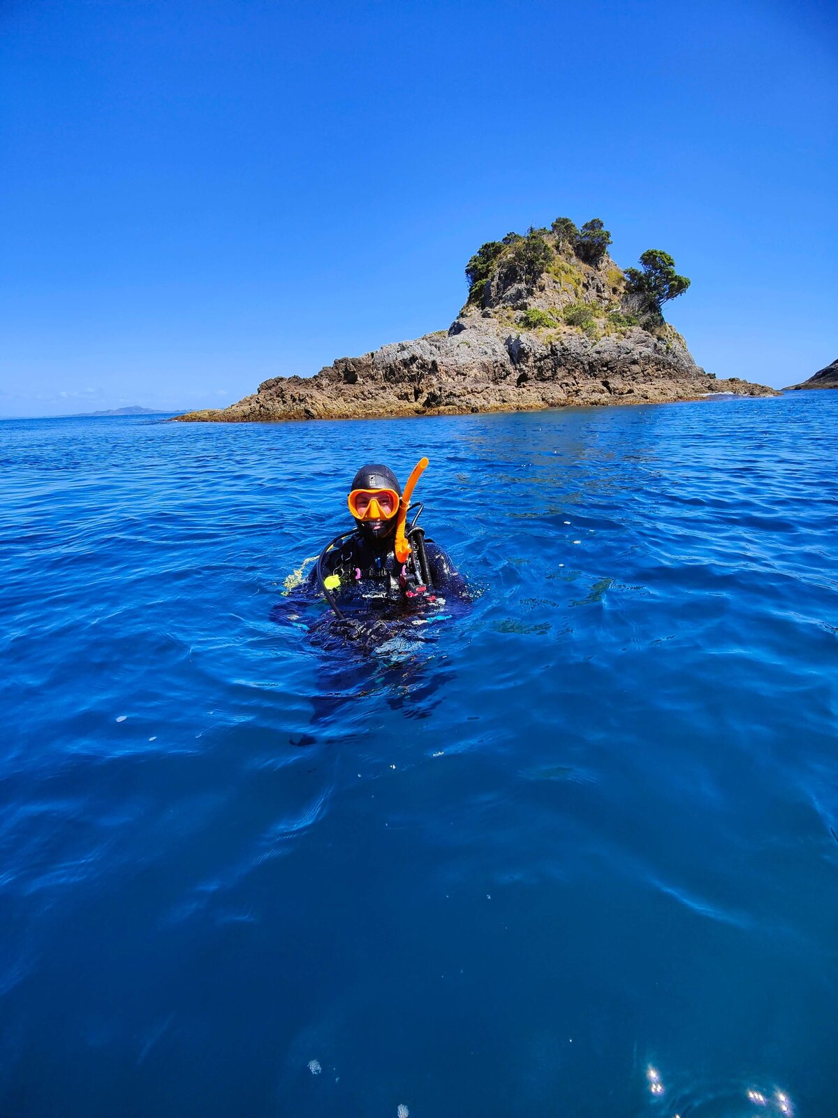 PADI ReActivate (Scuba Refresher) Dive Zone Bay of Islands