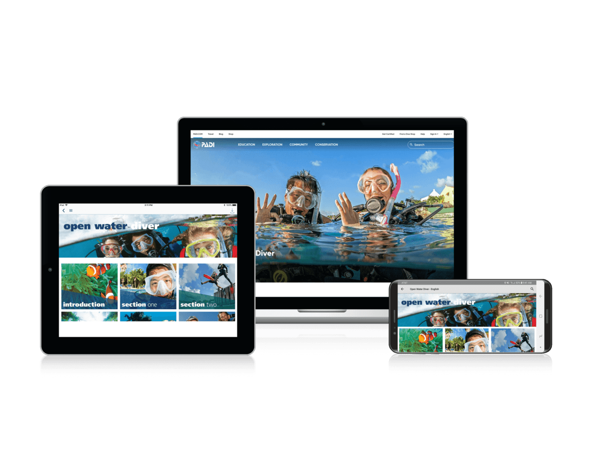 Diving for Schools Dive Zone Bay of Islands