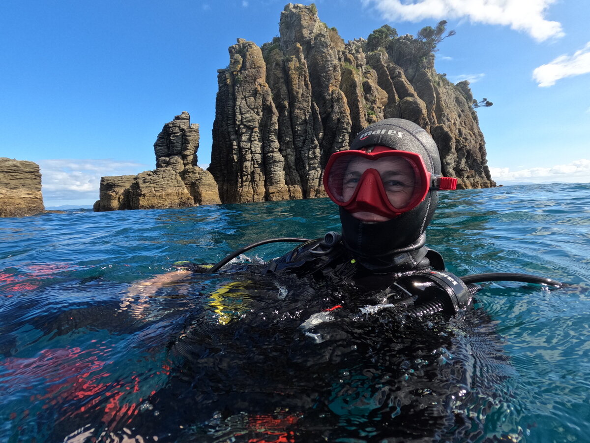 PADI Scuba Diving Northland New Zealand Learn to Dive Dive Zone Bay