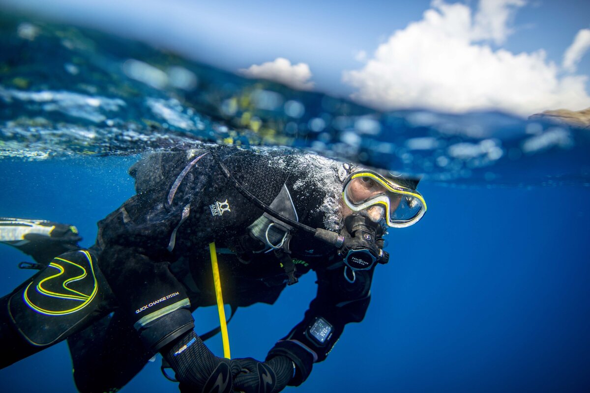 learn-to-dive-padi-dive-courses-dive-zone-bay-of-islands