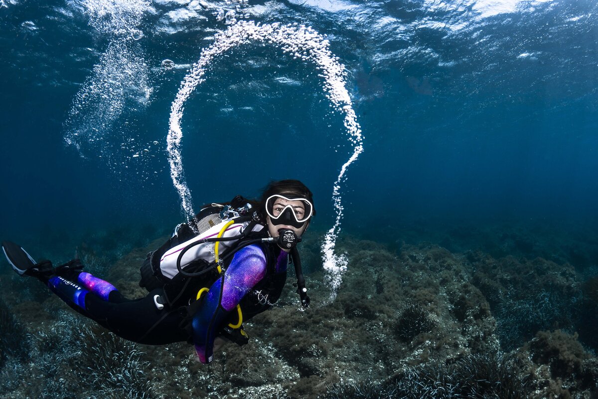 Get a job as a scuba instructor Dive Zone Bay of Islands