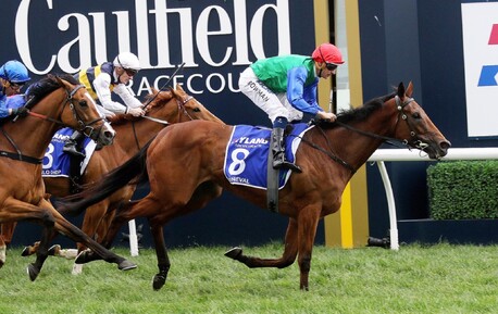 Bonneval - Multiple Gr.1 winner and NZ Horse Of The YearSpelled at Henley Park