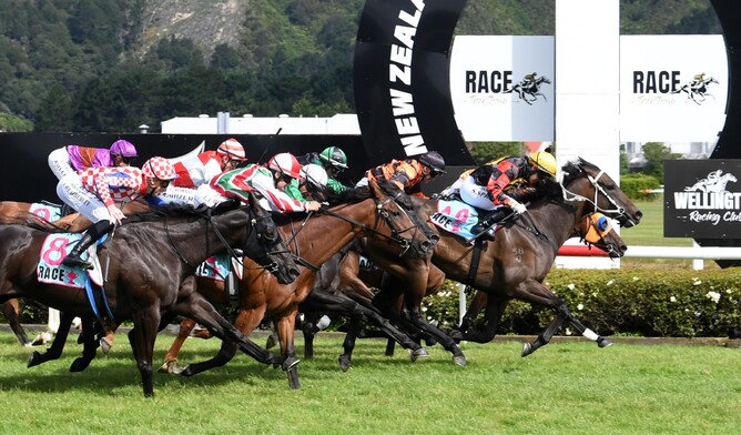 Provence winning the Gr.1 Harcourts Thorndon Mile (1600m) at Trentham on Saturday. - Photo: Peter Rubery (Race Images Palmerston North)