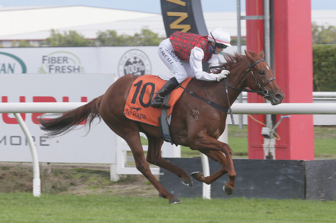 Musigny Lass will contest the Listed Waikato Equine Veterinary Centre 2YO Stakes (1100m) at Te Rapa on Saturday. - Photo: Trish Dunell