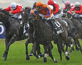 Damask Rose brilliant in Karaka Millions 3YO