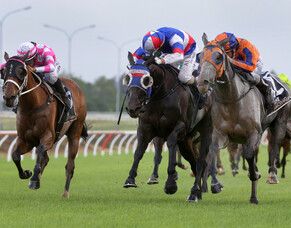 Aromatic wins Counties Cup