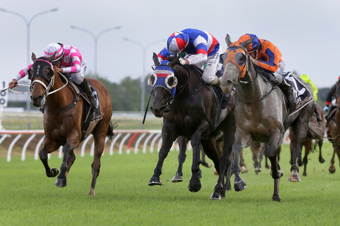 Aromatic (right) gets the better of Self Obsession (middle) and Viktor Vegas (inner)  at the finish of the Gr.3 Pukekohe Traders Counties Cup (2100m)  - Photo: Trish Dunell