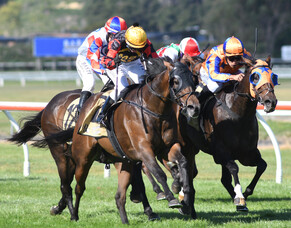 Lowry and Cullen mare answers punters prayers at Trentham