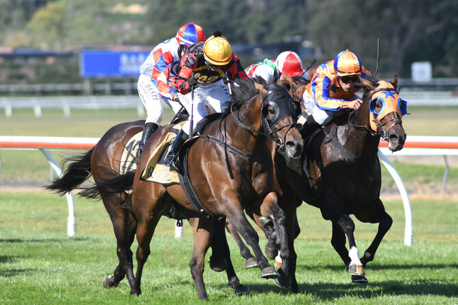 Can I Get An Amen will contest the Listed Power Turf Sprint (1200m) at Hastings on Saturday. - Photo: Peter Rubery (Race Images)