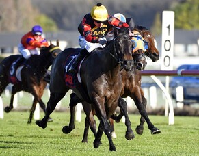 Force Of Nature continues winning roll