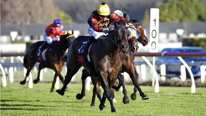 Force Of Nature winning the Woods Contracting 1300 (1300m) at Te Rapa on Saturday. - Photo: Kenton Wright (Race Images)