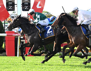 Pulchritudinous snares Australian Group Three