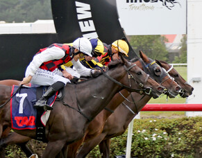 Provence clinches close finish in Trentham Group One