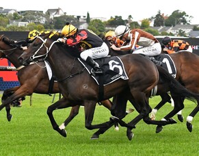 Provence a dual Group One winner after Breeders&rsquo; Stakes upset