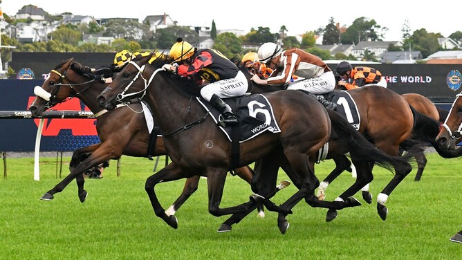 Provence winning Saturday's Gr.1 New Zealand Thoroughbred Breeders' Stakes (1600m) at Ellerslie. - Photo: Kenton Wright (Race Images)